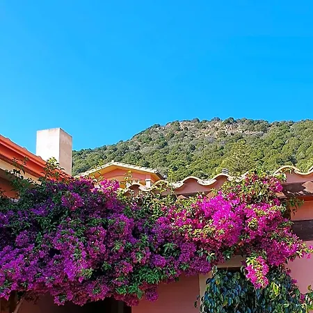 B&B La Vela Chia-3